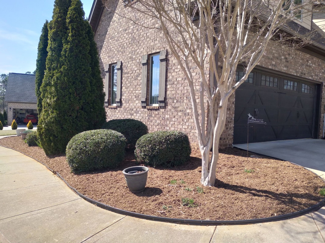 Dewayne's Landscaping and Tree Service - Tree and Shrub Pruning and Trimming