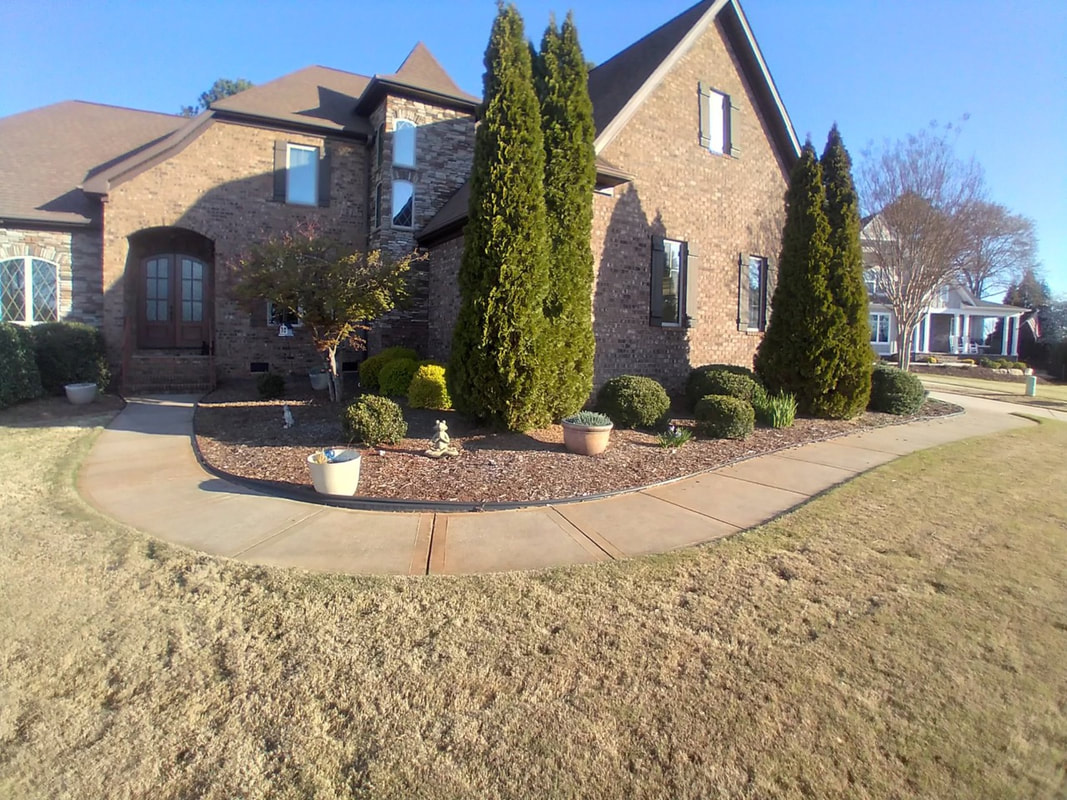 Dewayne's Landscaping and Tree Service Tree and Shrub Pruning and Trimming